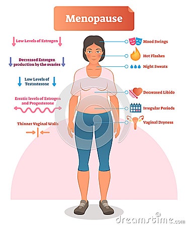 Menopause labeled vector illustration. Medical scheme with list of estrogen, ovaries, testosterone and progesterone symptoms. Vector Illustration