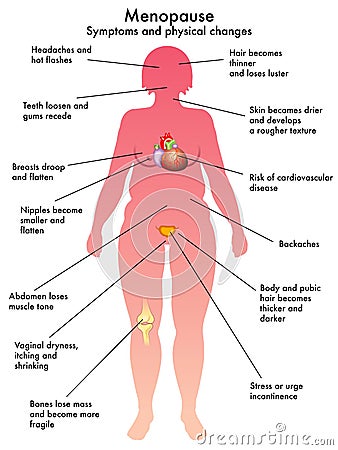 Menopause Vector Illustration