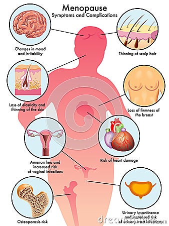 Menopause Vector Illustration