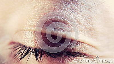 Menselijk oog, macro Menselijk oog, macro