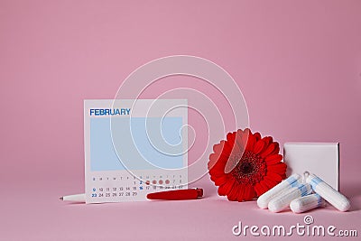 Menstrual sanitary tampons, box and red flower Stock Photo