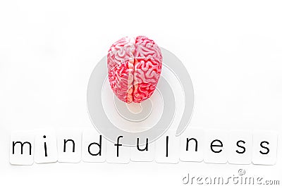 Mindfulness and meditation concept with brain on white background top view Stock Photo