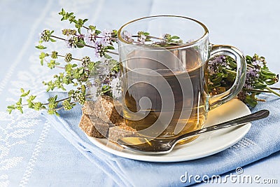 Mentha pulegium infusion Stock Photo