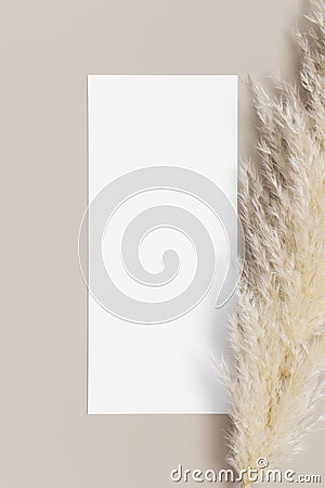 Menu card mockup with a pampas grass deocoration, 4x9 ratio Stock Photo