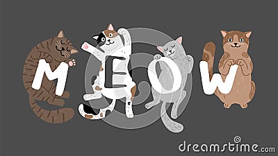 Meow slogan with sleeping cats Vector Illustration