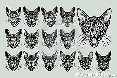 Meowing abyssinian cat head sticker design bundle Vector Illustration