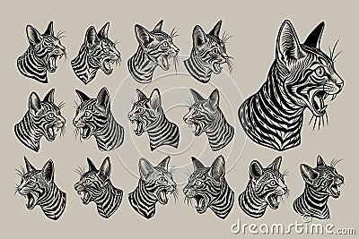 Meowing toyger cat head in side view silhouette design bundle Vector Illustration
