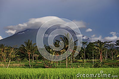 Merapi volcano landscape, Java, Indonesia Stock Photo