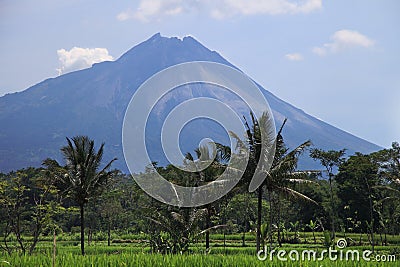 Merapi volcano landscape, Java, Indonesia. Stock Photo