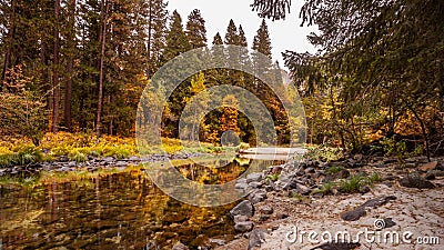 Merced River Yosemite NP Stock Photo