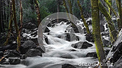 Merced River Yosemite NP Stock Photo