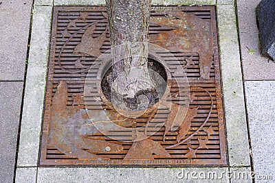 Downtown Mercer Island, sidewalk detail, iron grate with hand and bird design Editorial Stock Photo