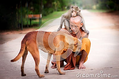 Mercifulness in Buddhism Stock Photo