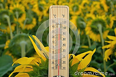 Mercury wooden thermometer Stock Photo