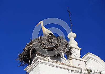 Merida, Extremadura, Spain. Stork nesting. Stock Photo