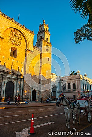 Merida San Ildefonso cathedral in the evening. Yucatan. Mexico Editorial Stock Photo