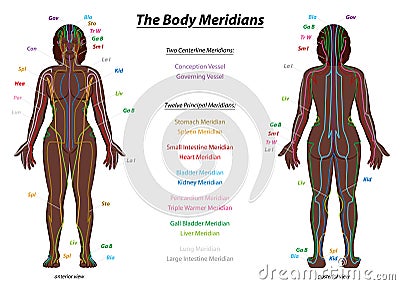 Meridian System Black Woman Description Chart Female Body Vector Illustration