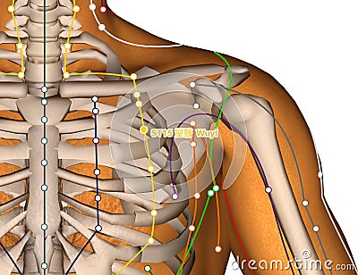 Acupuncture Point ST15 Wuyi, 3D Illustration Stock Photo