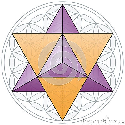 Merkaba And Flower of Life Vector Illustration