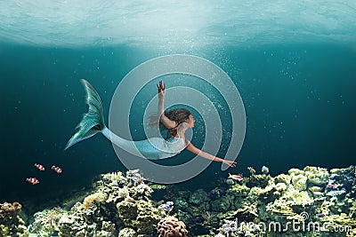 Underwater Mermaid Swimming Among Ocean Coral Reef Stock Photo