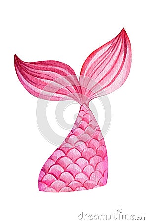 Mermaid tail on an isolated white background. Watercolor drawing Cartoon Illustration