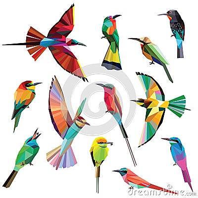 Meropidae birds set Vector Illustration