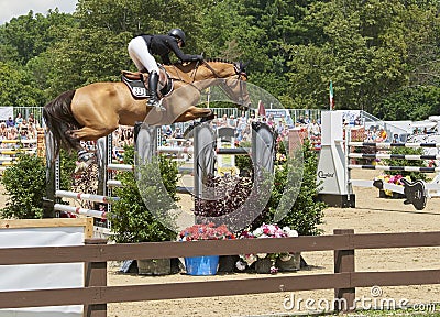 Horses - Hunter Jumper Classic Cleveland, Ohio Editorial Stock Photo
