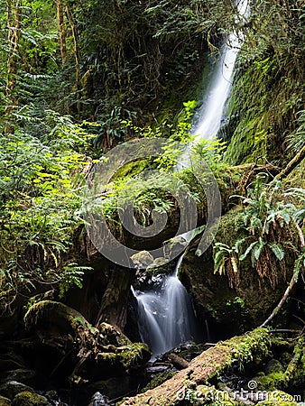 Merriman Falls in Lake Quinault valley on Olympic peninsula Stock Photo