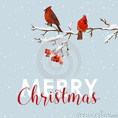 Merry Christmas Card - Winter Birds with Rowan Berries Vector Illustration