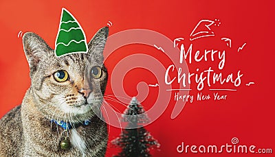 Merry christmas and happy new year doodle with cat nome and christmas tree on red background,holiday greeting card Stock Photo