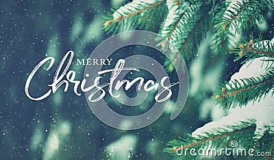 Merry Christmas Holiday Celebration Card Over Evergreen Tree Background in Woods Covered in Winter Snow Stock Photo