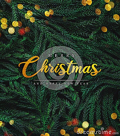 Merry Christmas Lettering on Fir Branches and Christmas Light Bokeh Stock Photo