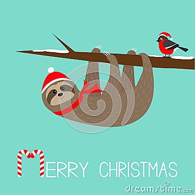 Merry Christmas. Sloth hanging on rowan rowanberry sorb berry tree branch. Bullfinch bird. Santa hat. Happy New Year. Cute cartoon Vector Illustration