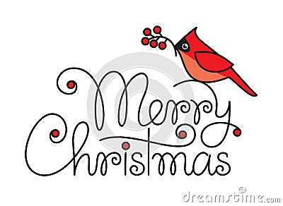 Merry christmas text with red robin bird and branch Vector Illustration