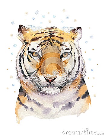 Merry Christmas watercolor lettering with isolated cute cartoon watercolor fun Siberian tiger illustration. Hand drawing Cartoon Illustration