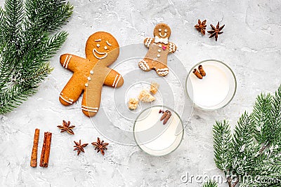 Merry christmas in winter evening with alcohol drink. Eggnog with gingerbread cookie, cinnamon and spruce on stone desk Stock Photo