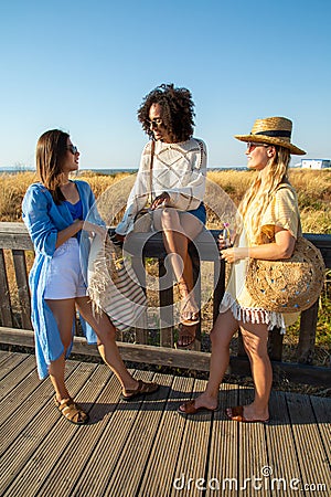 Merry female friends going to beach Stock Photo