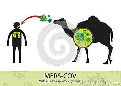 Mers Corona Virus transfer from camel to human Vector Illustration