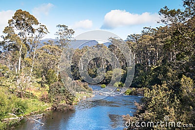 Tasmanian Mersey River Stock Photo