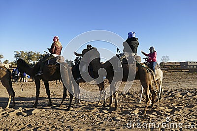 Tourists mount camels for a ride in the Sahara Editorial Stock Photo