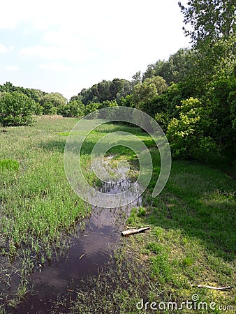 Merzse swamp Stock Photo