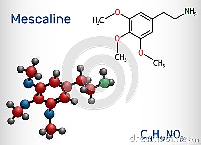 Mescaline molecule. It is hallucinogenic, psychedelic, phenethylamine alkaloid. Structural chemical formula and molecule model Vector Illustration