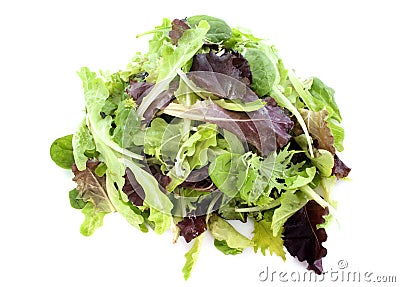 Mesclun salad Stock Photo