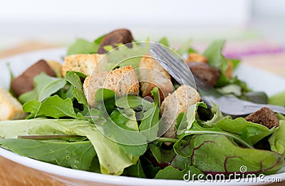 Mesclun salad Stock Photo