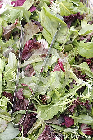 Mesclun salad mix with tongs Stock Photo