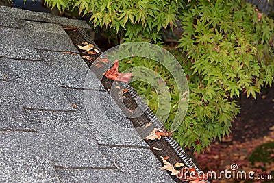 Mesh on home rain gutters keeping leaves out Stock Photo