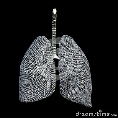 Mesh Lungs Stock Photo