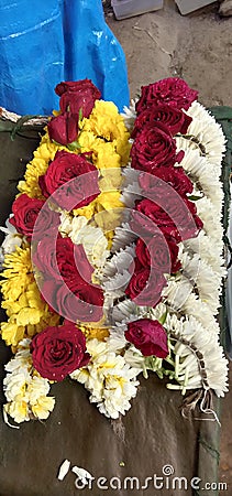 Mesmerizing red roses with beautiful white and yellow coloured flowers Stock Photo