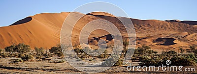 Mesmerizing scene of a salt and clay pan surrounded by high red dunes in Sossusvlei, Namibi Stock Photo