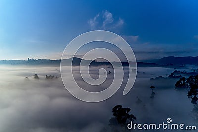 Mesmerizing view of the trees above scenic clouds Stock Photo